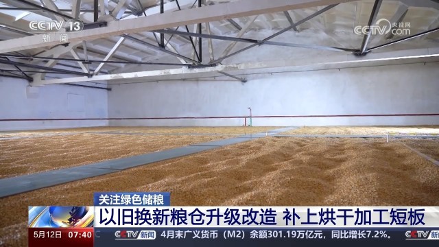 绿色智能仓储筑牢粮食安全基石——全国绿色储粮仓容超两亿吨