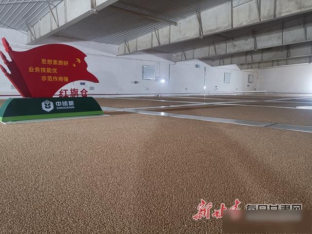 探秘“大国粮仓” 公众代表走进中储粮，感受智能化储粮新技术