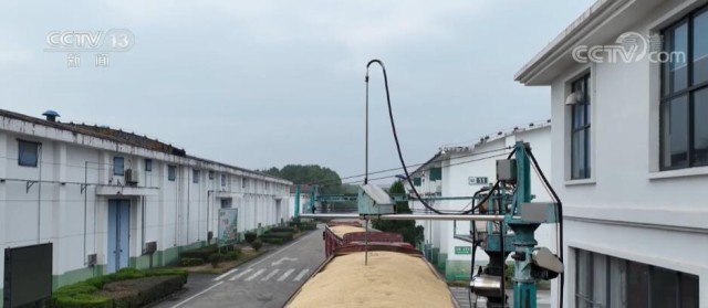 科技储粮新篇章 智能化设备驱动全链条节粮减损